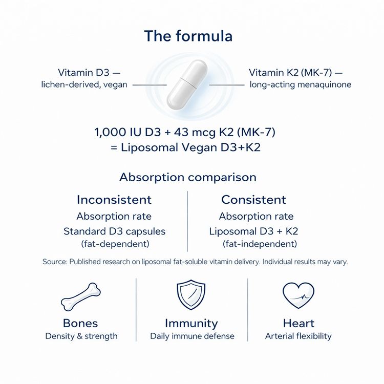 Scientific visualization showing a ruby-red LPC molecule with golden halo passing through a glowing cyan Mfsd2a gateway, with an illuminated golden neural network beyond — illustrating direct brain delivery